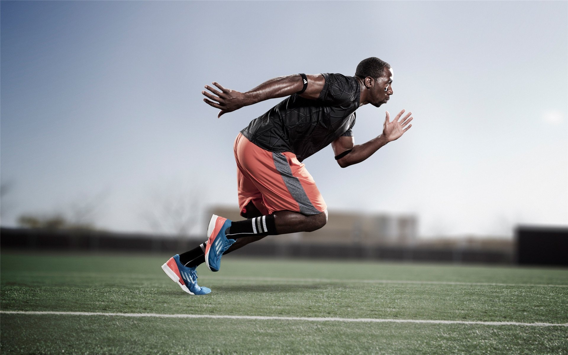 F1赛事场馆绿色能源改造成为可持续发展案例